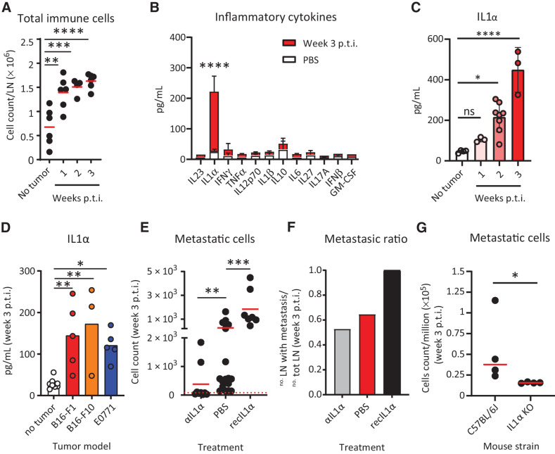 Figure 2. Protumoral release of IL1α in the metastatic sLN. We observed release of IL1α in metastatic sLNs and described the prometastatic role of this cytokine. A, Progressive increase in the size of the sLN correlated with an increase in the total number of CD45+ immune cells, measured by flow cytometry (n = 6). B, Quantification of inflammatory cytokines in the supernatant of metastatic (red) and nonmetastatic (white) LN using LEGENDPlex assays (n > 3 for all groups). C, Time-course kinetics showing IL1α release in the sLNs during the first three weeks p.t.i. (n > 3 for all groups). D, Quantification of IL1α in the sLN at 3 weeks p.t.i. of different cancer models, melanoma B16-F1 and B16-F10, and breast cancer (E0771; n > 3 for all groups). E, Flow-cytometric quantification of mCherry+ LN metastatic cells in tumor-bearing animals treated with IL1α-blocking antibody or recombinant IL1α in comparison with untreated (n > 7 for all groups). F, LN metastatic ratio in mice untreated or treated with IL1α-blocking antibody or recombinant IL1α at week 3 p.t.i. (n > 7 for all groups). G, Metastatic cells in the sLN of wild-type and IL1α KO mice 3 weeks p.t.i. (n = 4). Data in A–E, and G indicate mean values for each group, with individual values represented as dots in A, C, D, E, and G. Lines in B and C indicate standard deviation. The red dashed line in E indicates the background, calculated on the number of events in nontumor-bearing mice. All results have been confirmed by at least 3 independent experiments. Data have been analyzed with one-way ANOVA or unpaired t test in case of normal distribution, and Kruskal–Wallis or Mann–Whitney test for groups that did not present a normal distribution. In all statistical tests, P value is indicated as *, <0.05; **, <0.01; ***, <0.001; ****, < 0.0001.