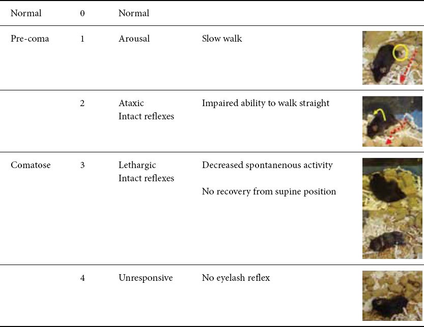 graphic file with name AnnGastroenterol-24-294-g002.jpg