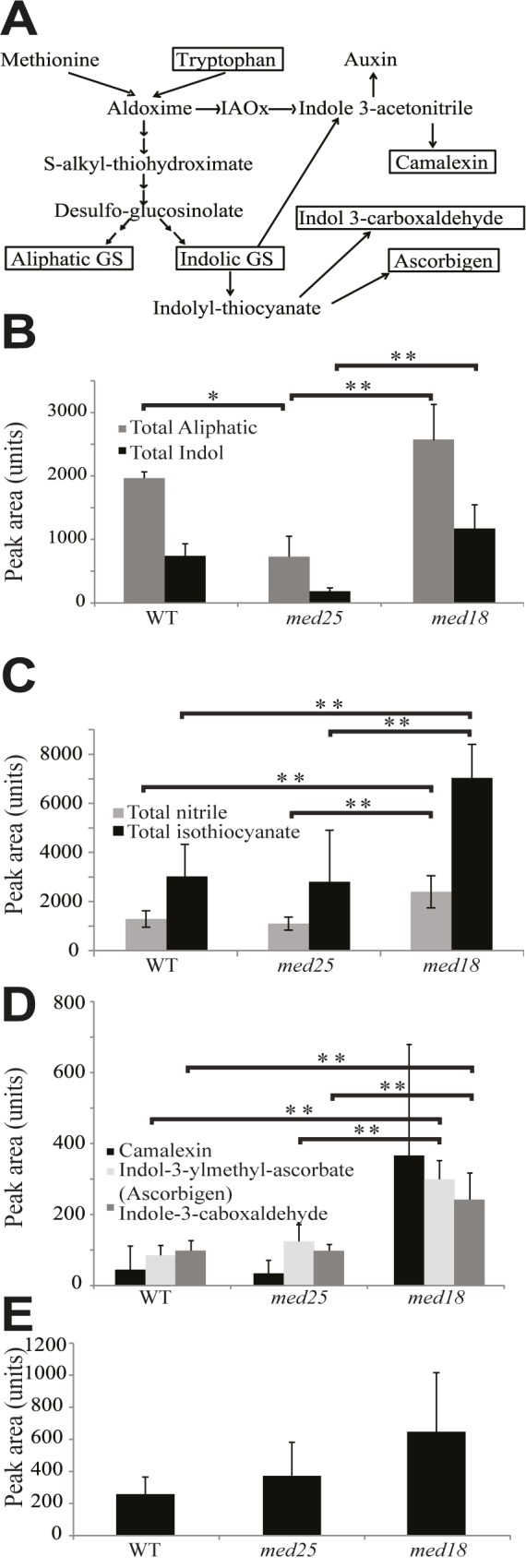 Fig 4