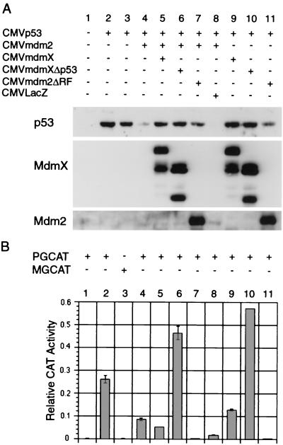 FIG. 5