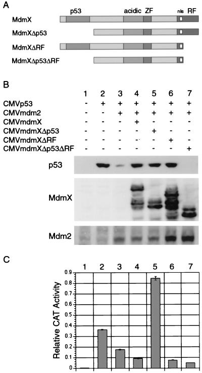 FIG. 7