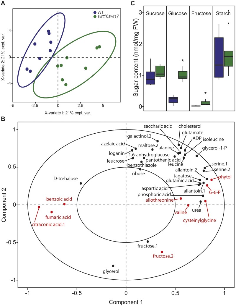 Figure 6