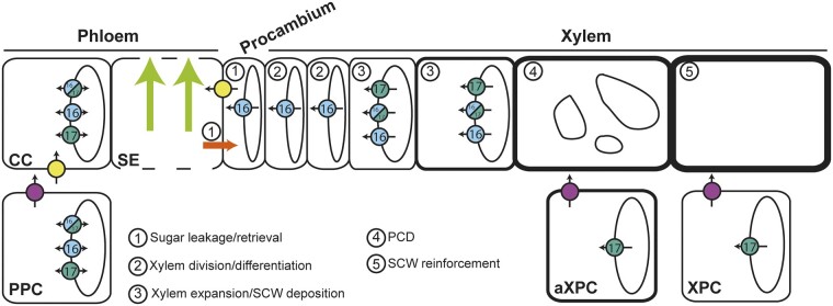 Figure 7