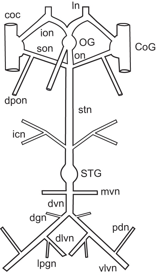 Fig. 1.