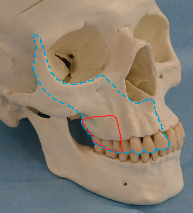 Figure 1.