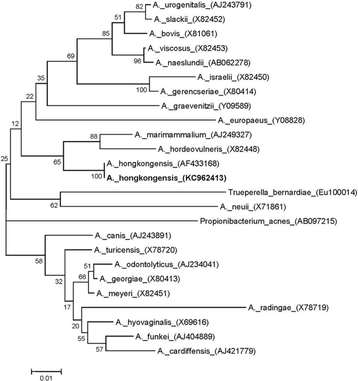 Fig 2