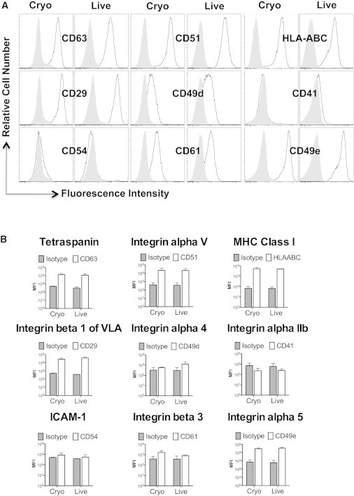 Figure 4