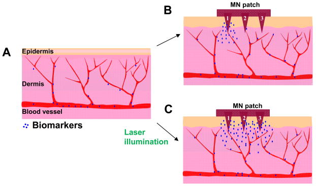 Fig. 7