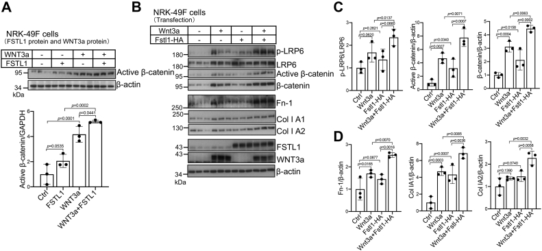 Figure 4