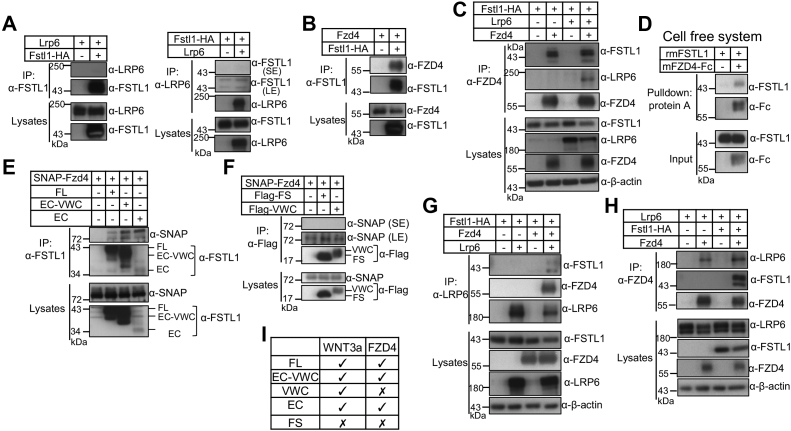 Figure 6