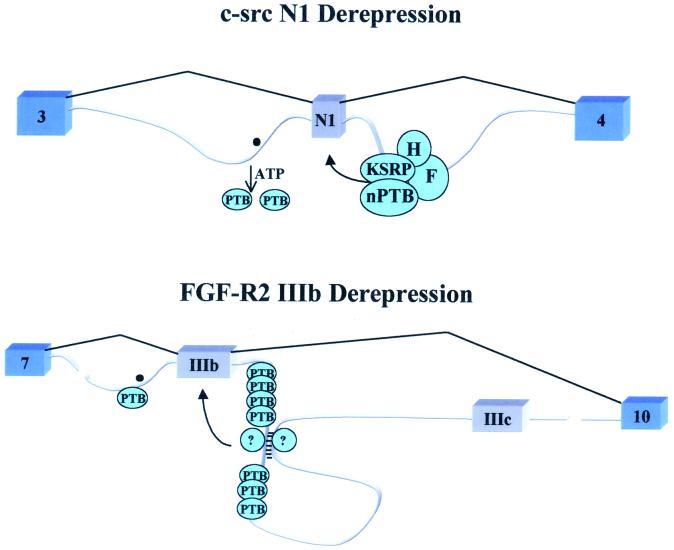 FIG. 4