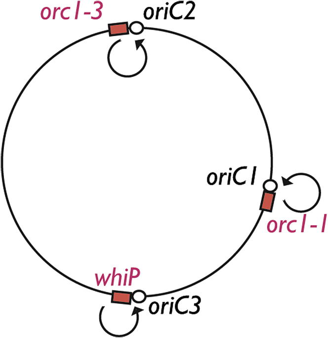 graphic file with name fx1.jpg