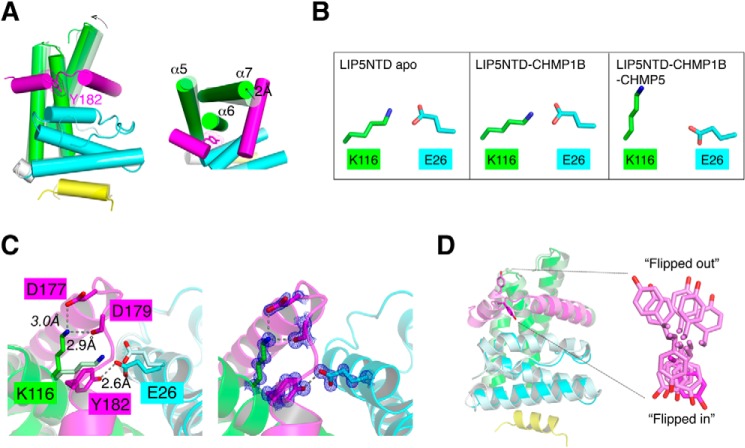 FIGURE 7.