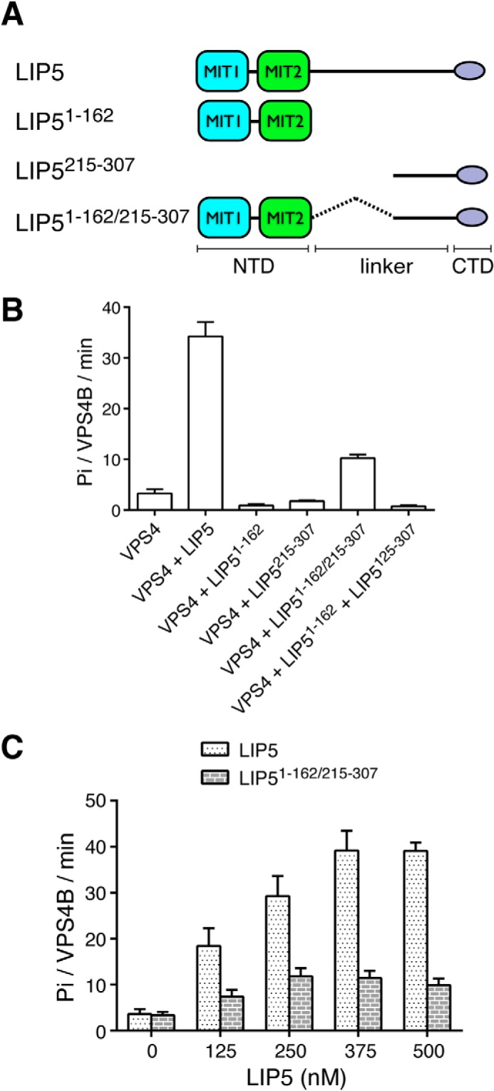 FIGURE 2.