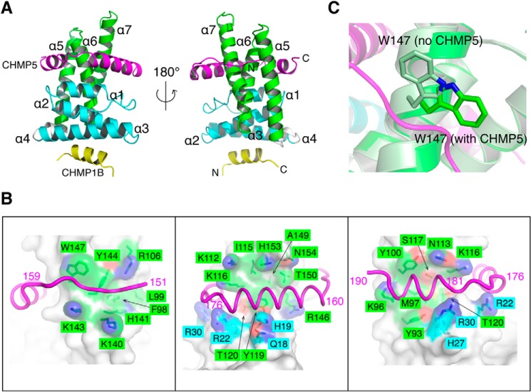 FIGURE 6.