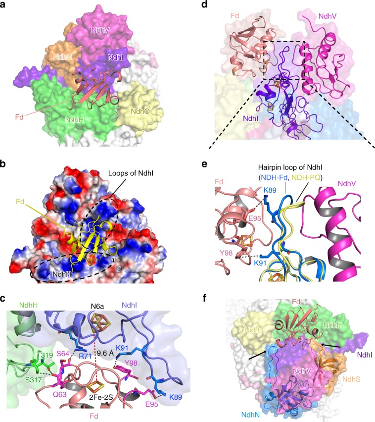 Fig. 4