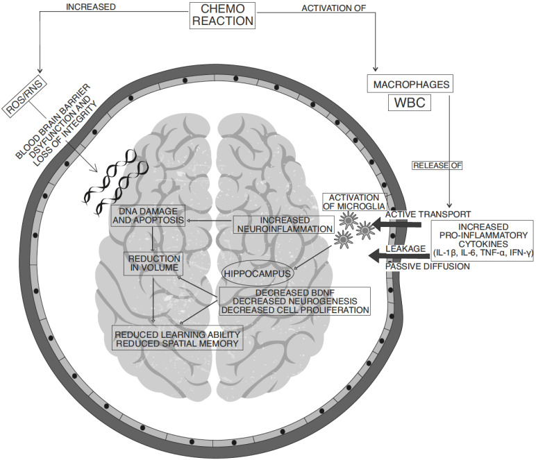 Fig. (1)