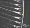 Fig 4