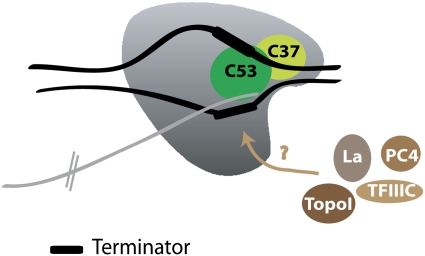 Figure 5.