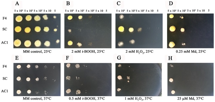 Figure 5