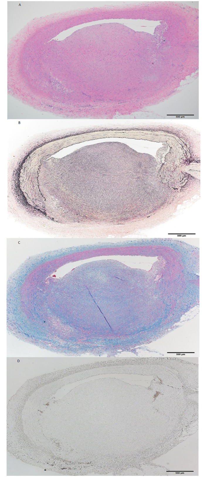 Fig 6