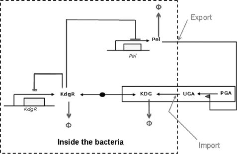 FIGURE 2.