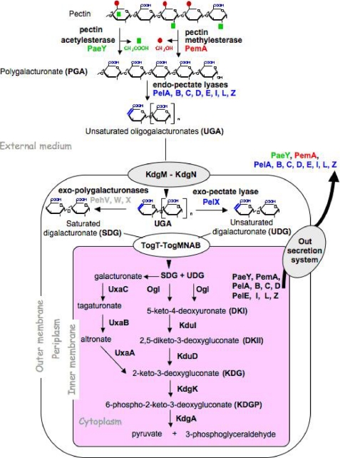 FIGURE 1.