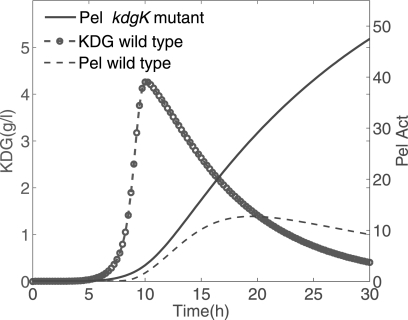 FIGURE 10.