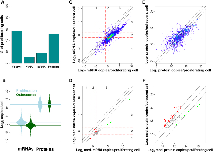 Figure 6