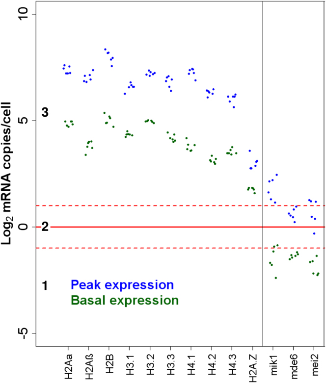 Figure 3