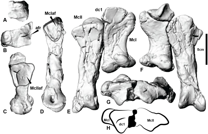 Fig 6