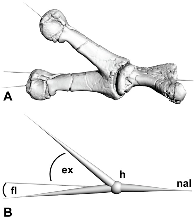 Fig 2