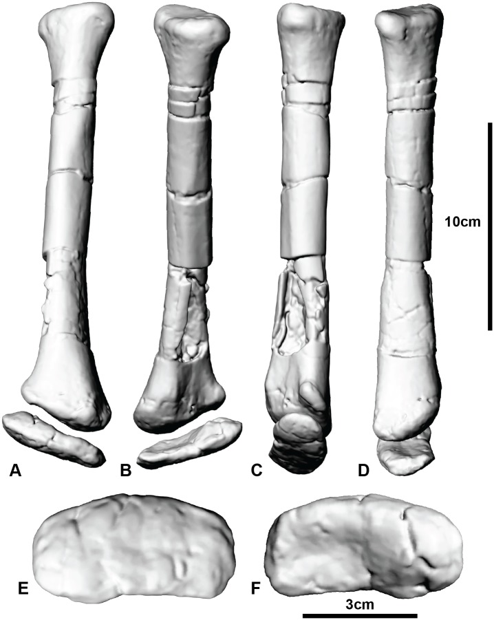 Fig 5