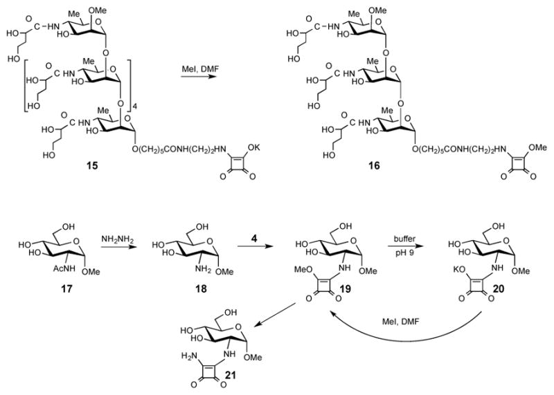 Scheme 5