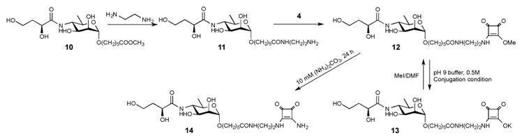 Scheme 4