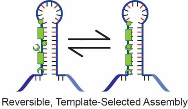 graphic file with name nihms-1837803-f0010.jpg