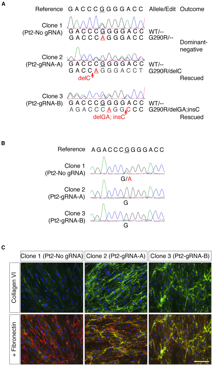 Figure 3