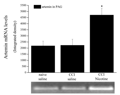 Fig. (17)