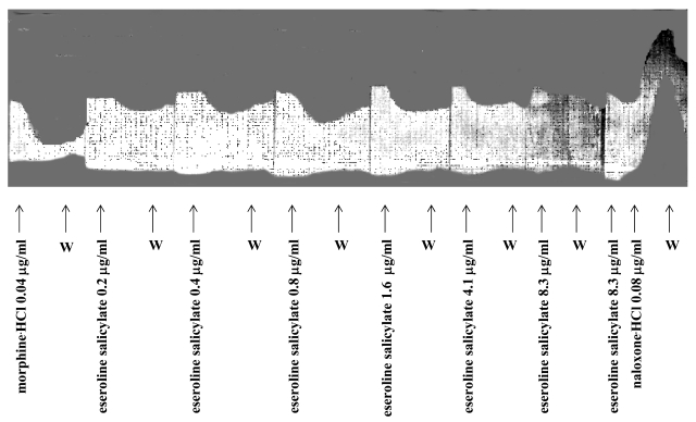 Fig. (3)