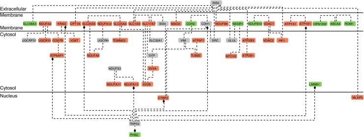 Fig. 2