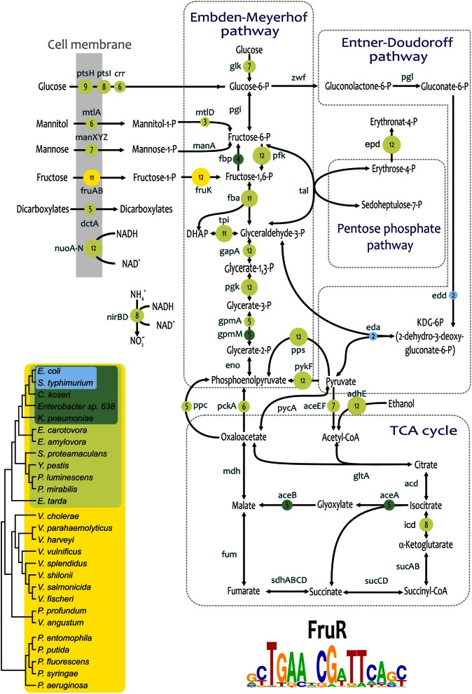 Figure 6