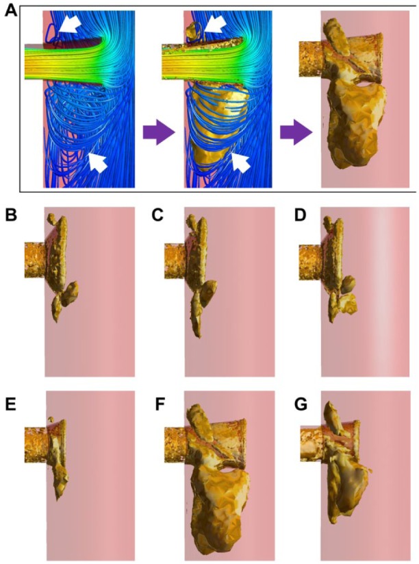 Figure 6.