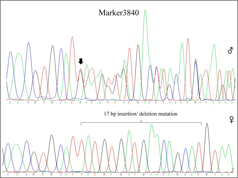 FIGURE 3