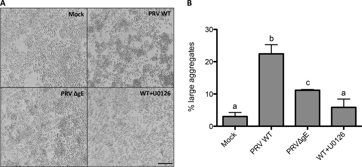 FIG 6