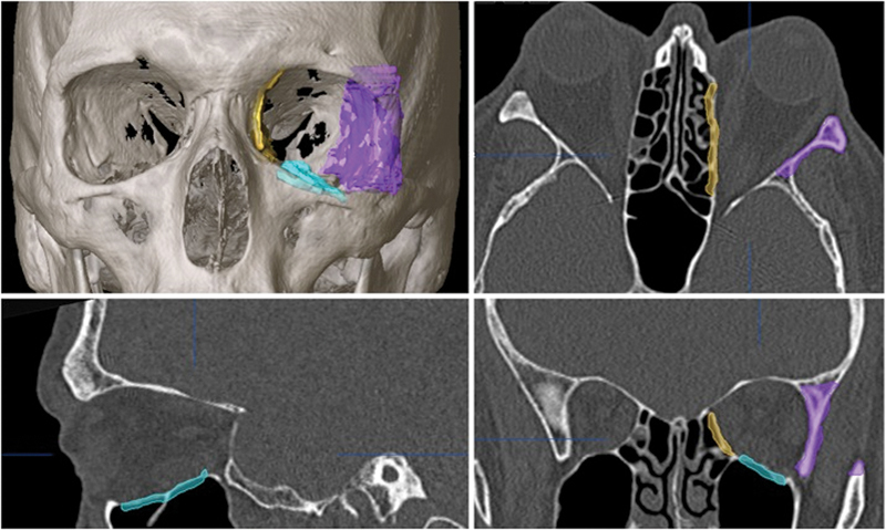 Fig. 8