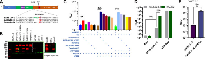 FIG 2