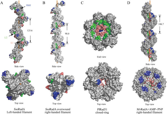 Figure 3.