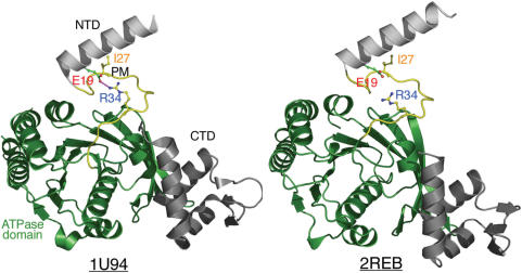 Figure 10.