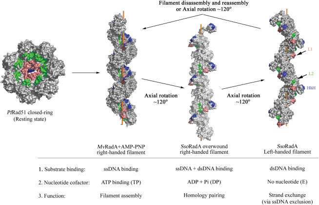 Figure 11.