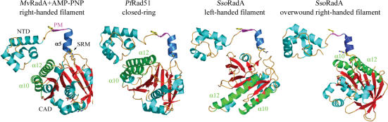 Figure 4.